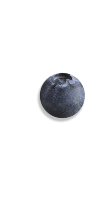 blueberry